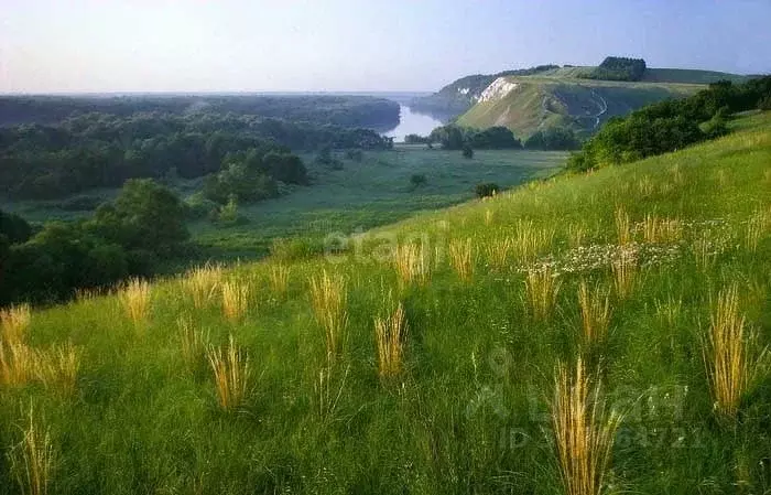 Участок в Воронежская область, Подгоренский район, Белогорьевское ... - Фото 0