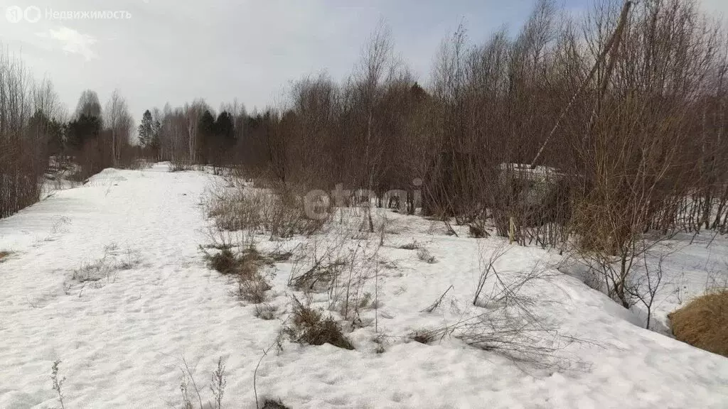 Участок в деревня Кисловка, СНТ Ветеран-3, Урожайная улица (11.8 м) - Фото 0