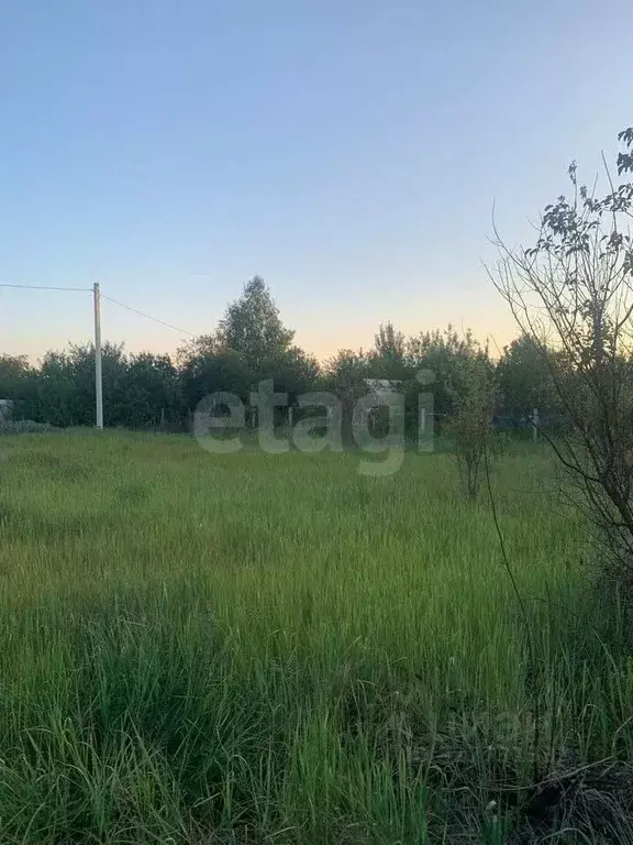 Участок в Воронежская область, Рамонский район, Новоживотинновское ... - Фото 1