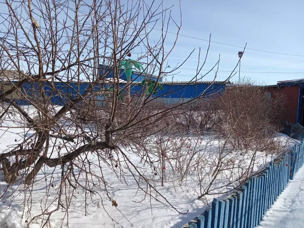 Дом в Омская область, Кормиловский район, с. Некрасовка Транспортный ...,  Купить дом Некрасовка, Кормиловский район, ID объекта - 50011872060