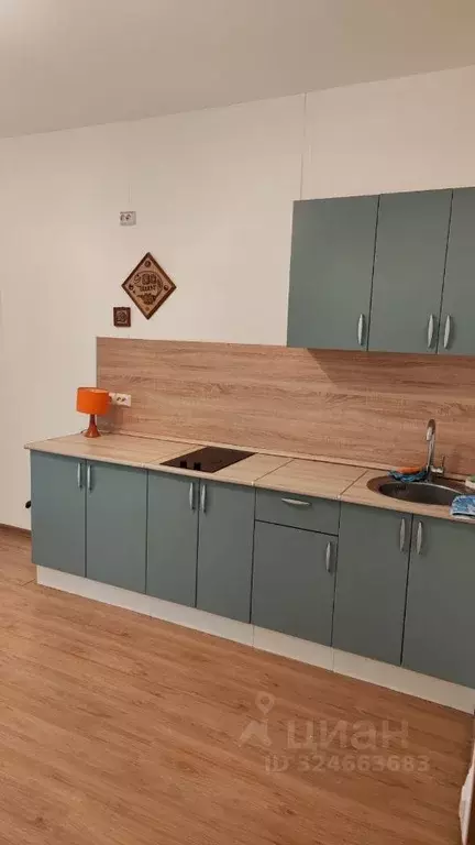 1-к кв. Санкт-Петербург ул. Лидии Зверевой, 5к1 (44.0 м) - Фото 2