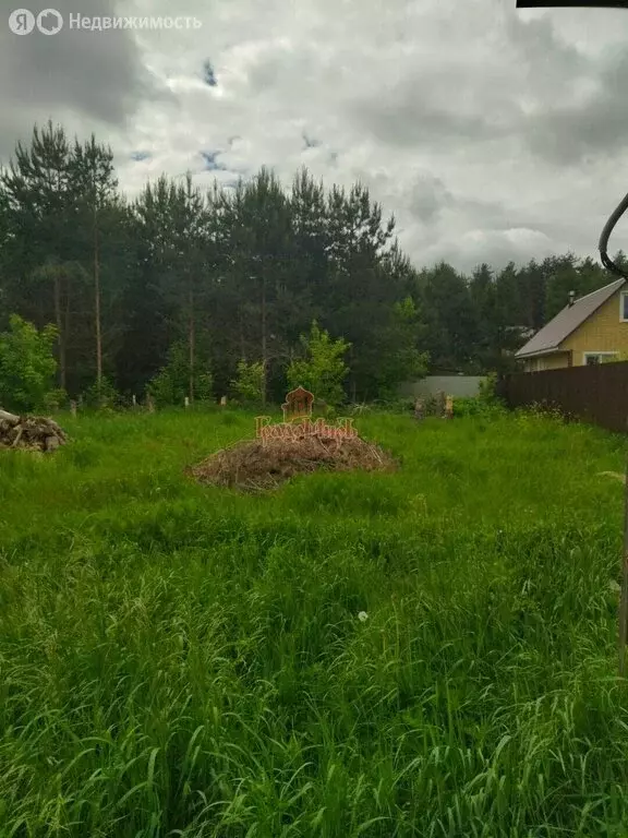 Участок в Сергиево-Посадский городской округ, СНТ Переславичи (10 м) - Фото 2