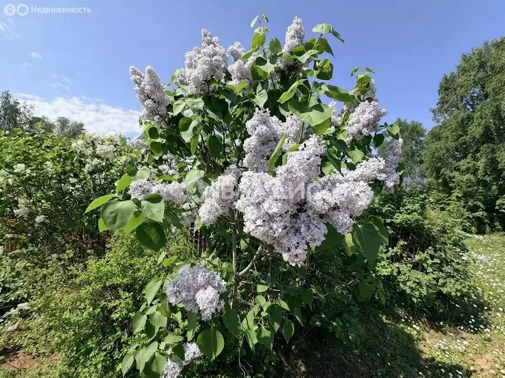 4-комнатная квартира: Медынь, улица Гагарина, 44 (88 м) - Фото 1