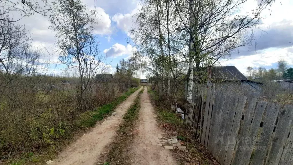 Участок в Новгородская область, Новгородский район, Панковское ... - Фото 1
