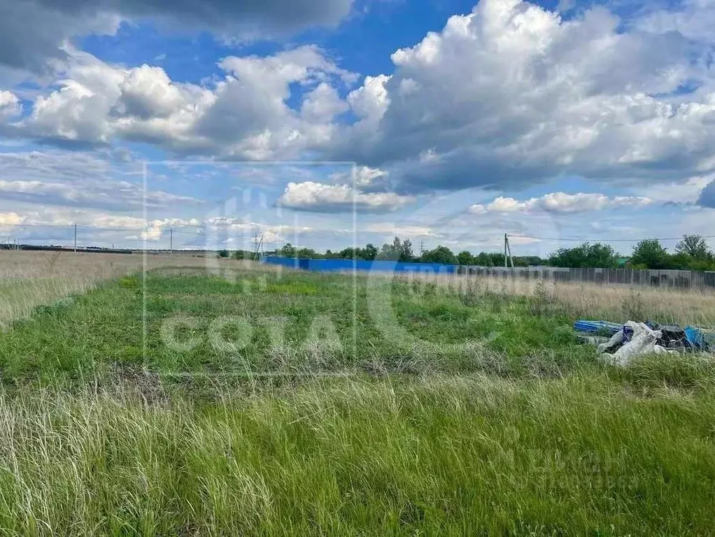 Участок в Воронежская область, Семилукский район, с. Девица ул. ... - Фото 0