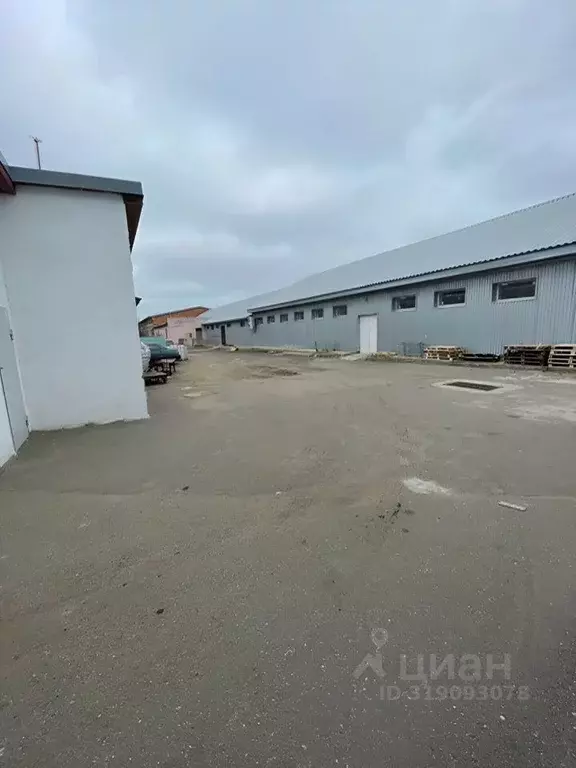 Помещение свободного назначения в Краснодарский край, Ейск ул. Богдана ... - Фото 1