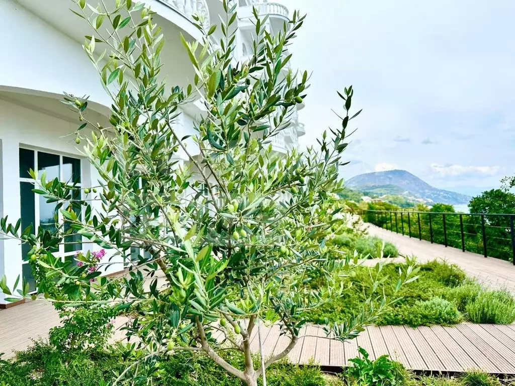 Студия Крым, Алушта муниципальный округ, пос. Утес ул. Гагариной, 20А ... - Фото 2