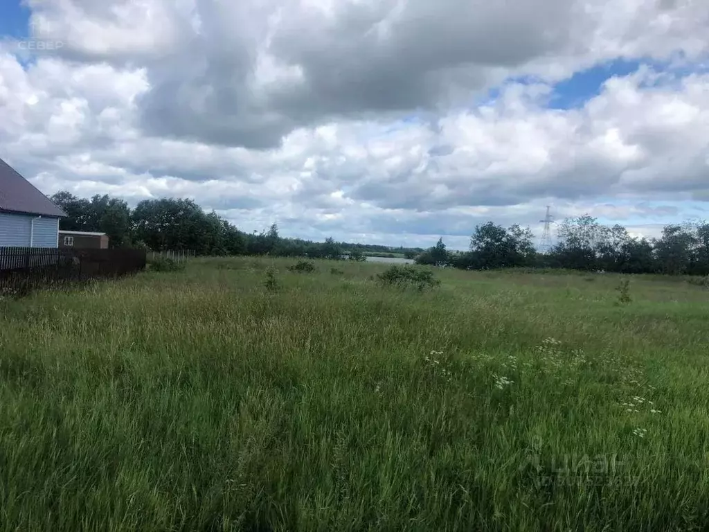 Участок в Новгородская область, Шимский район, Подгощское с/пос, д. ... - Фото 1