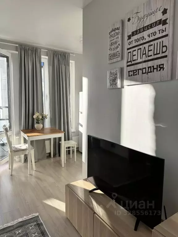 Студия Санкт-Петербург ул. Оптиков, 34К1 (23.0 м) - Фото 2