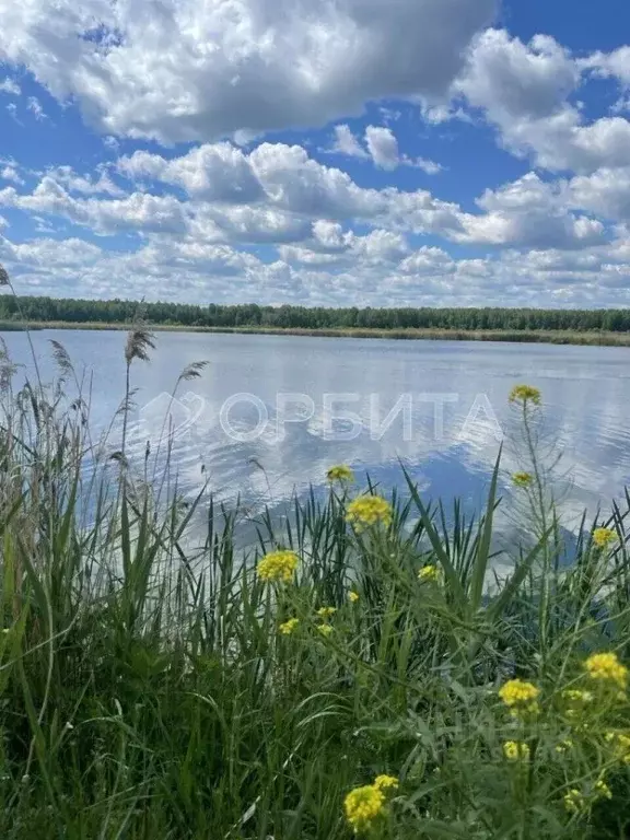 Участок в Тюменская область, Тюменский район, Приозерное СПК  (6.11 ... - Фото 1