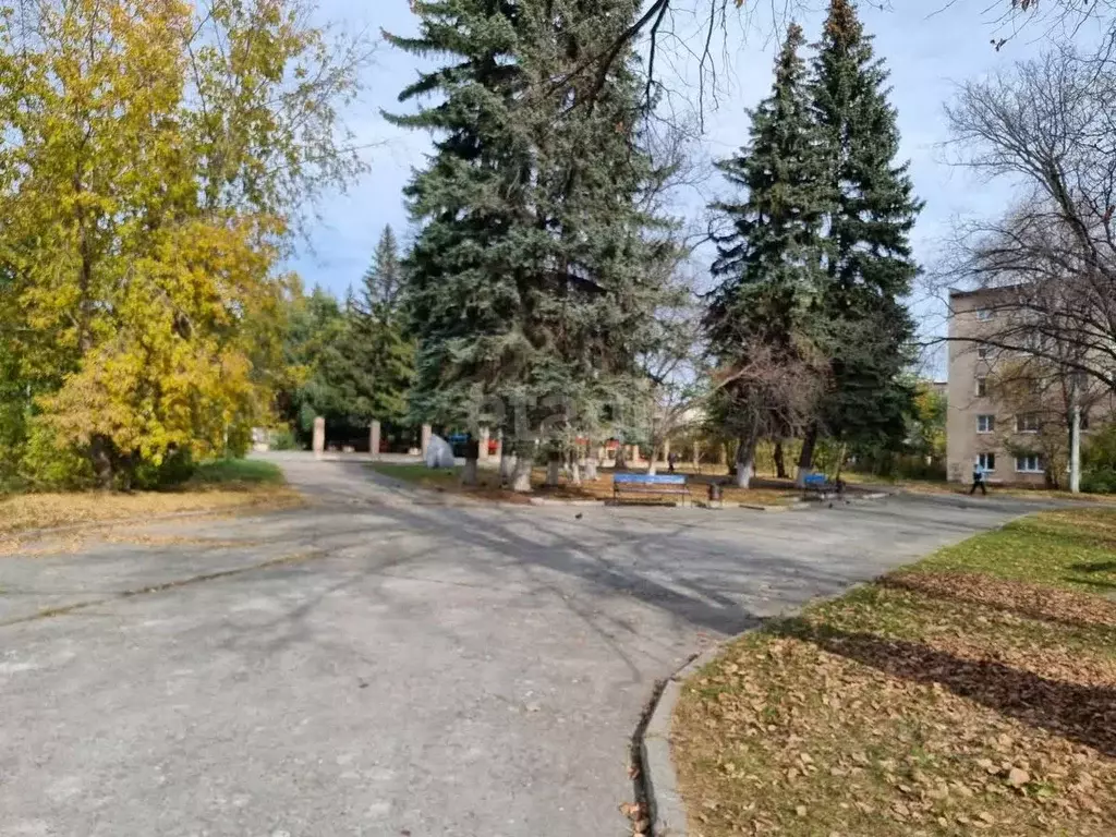 2-к кв. Челябинская область, Чебаркуль ул. Ленина, 34А (45.0 м) - Фото 0