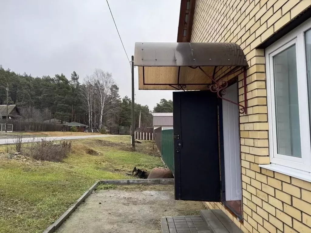 Дом в Пензенская область, Лунинский район, с. Большой Вьяс ул. ... - Фото 2