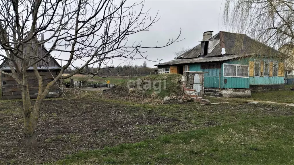 Дом в Брянская область, Выгоничское городское поселение, д. Бурачовка ... - Фото 2