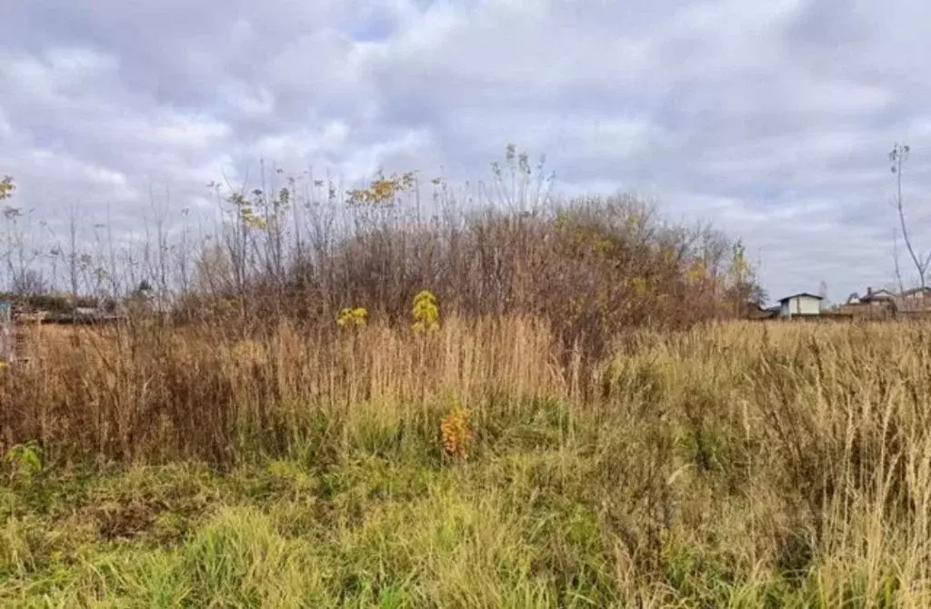 Участок в Нижегородская область, Володарский муниципальный округ, ... - Фото 1