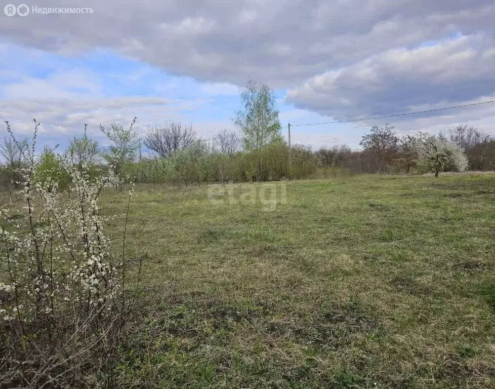 Участок в Белгородская область, Яковлевский муниципальный округ, ... - Фото 0