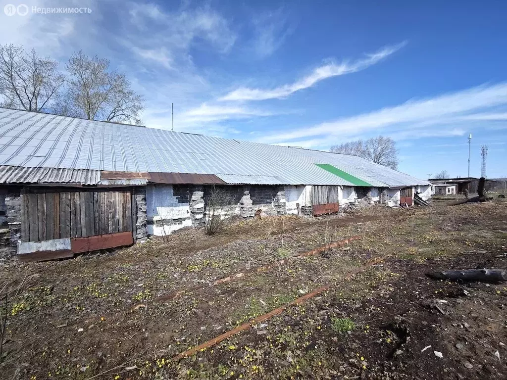 Производственное помещение (1304.2 м) - Фото 2