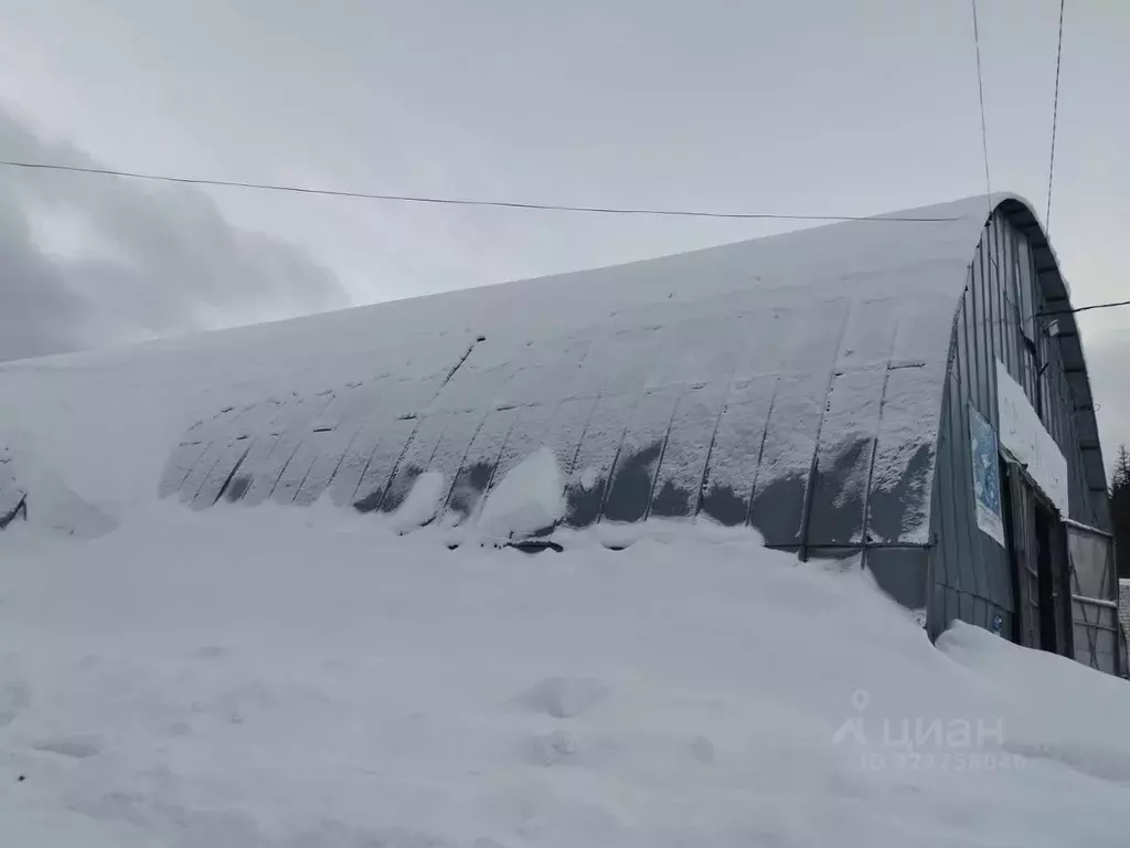 Помещение свободного назначения в Челябинская область, Златоуст пос. ... - Фото 1
