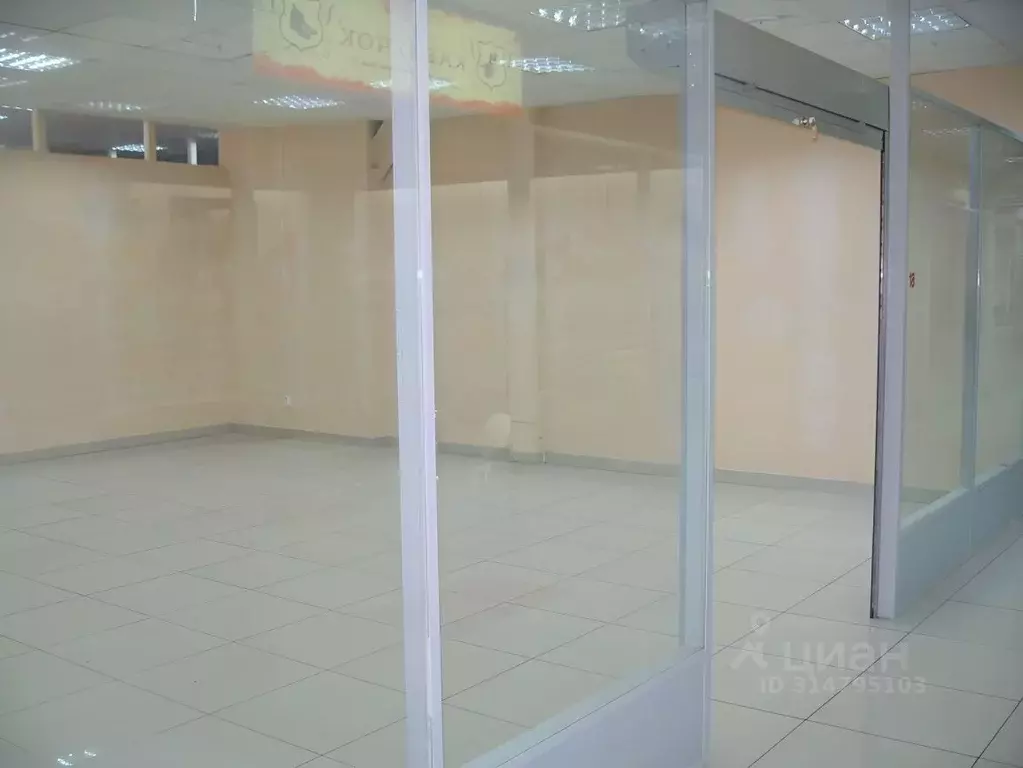 Торговая площадь в Вологодская область, Вологда Ленинградская ул., 81 ... - Фото 2