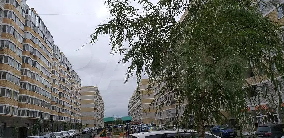 1-к. квартира, 38 м, 4/8 эт. - Фото 1