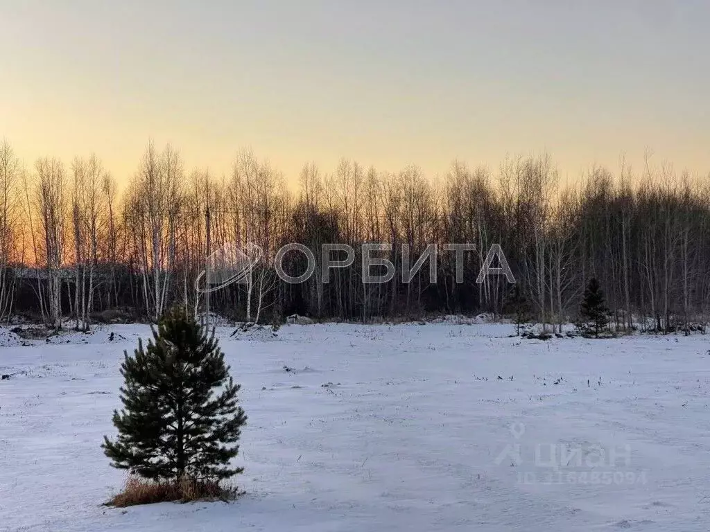 Участок в Тюменская область, Тюменский район, д. Пышминка  (12.2 сот.) - Фото 0