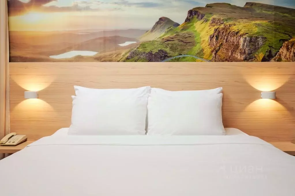 Комната Пермский край, Пермь ул. Пушкина, 73А (27.0 м) - Фото 1