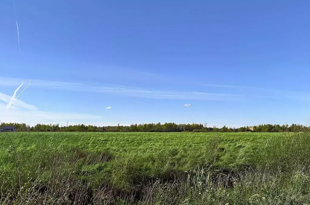 Участок в Санкт-Петербург, Санкт-Петербург, Петергоф ш. Ольгинское, ... - Фото 2