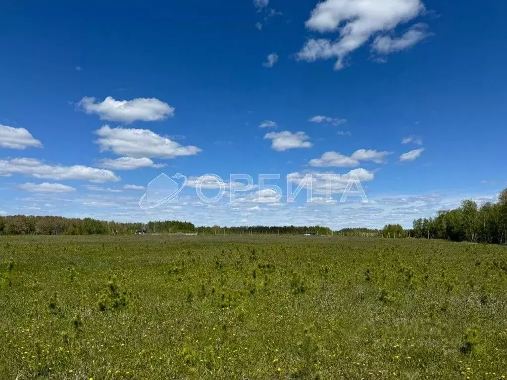 Участок в Тюменская область, Тюменский район, д. Ушакова Зеленая ул. ... - Фото 0