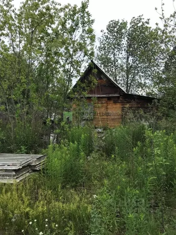 Участок в Самарская область, Красноярский район, Старая Бинарадка ... - Фото 0