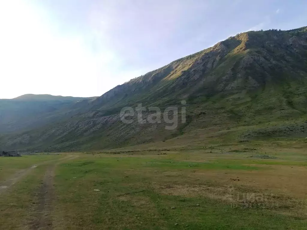 Участок в Алтай, Улаганский район, с. Чибит Молодежная ул., 29А (12.0 ... - Фото 1