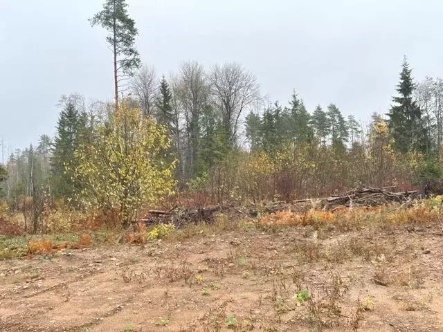 Участок в Новгородская область, Валдай ул. Алексея Маресьева (15.0 ... - Фото 0