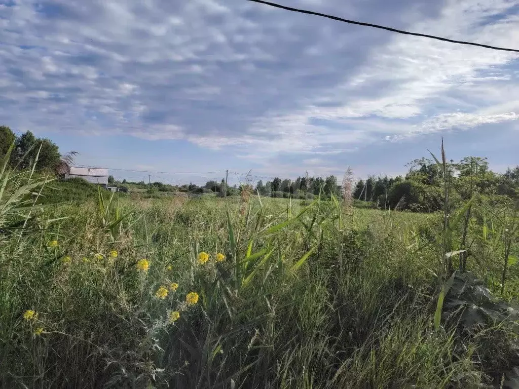 Участок в Тюменская область, Тюмень Поле Чудес-2 садовое товарищество, ... - Фото 1