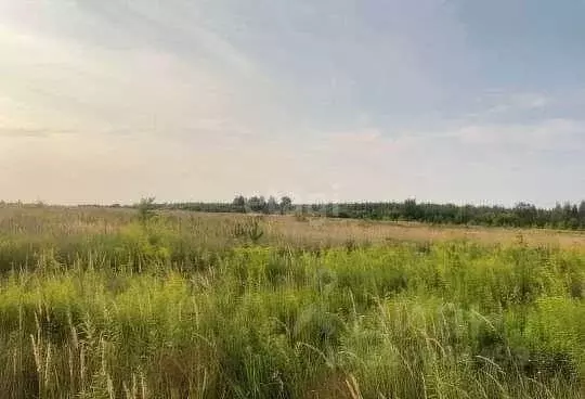 Участок в Липецкая область, Липецк Желтые пески СНТ, уч763 (10.9 сот.) - Фото 1