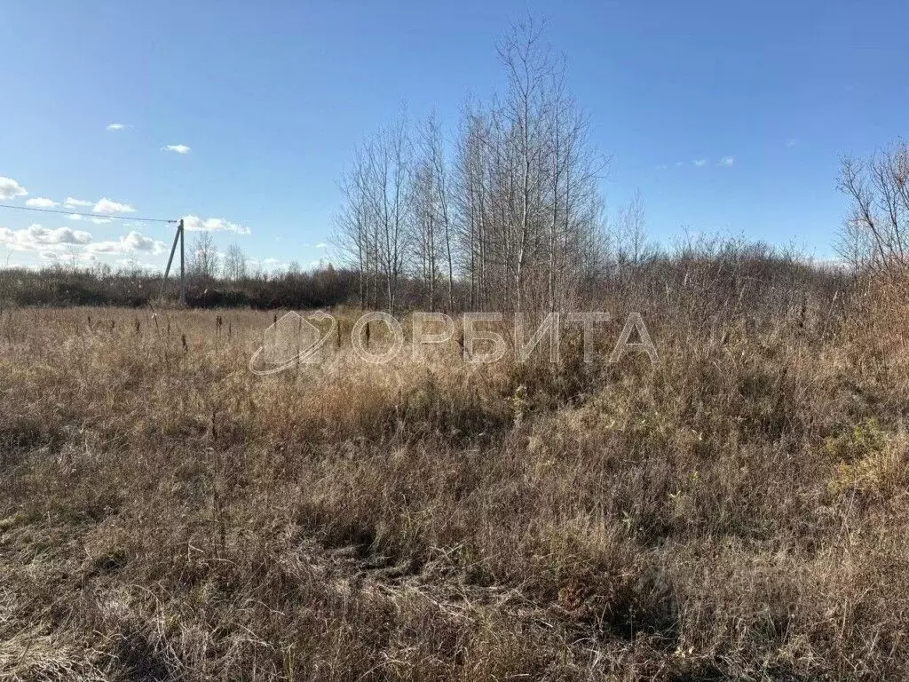 Участок в Тюменская область, Тюмень Большое Царево-1 СНТ,  (10.0 сот.) - Фото 2