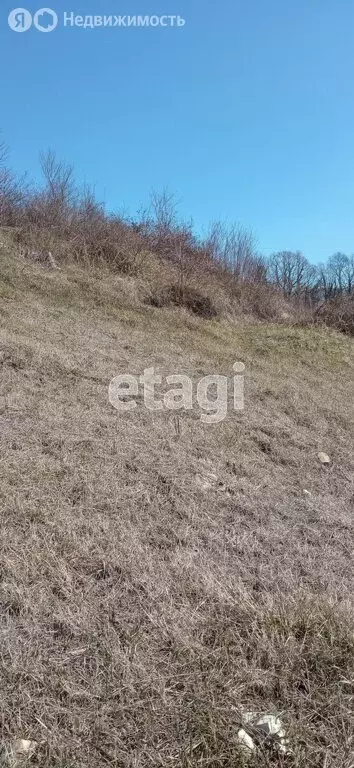 Участок в Краснодарский край, Сочи, посёлок Вардане (4.55 м) - Фото 0