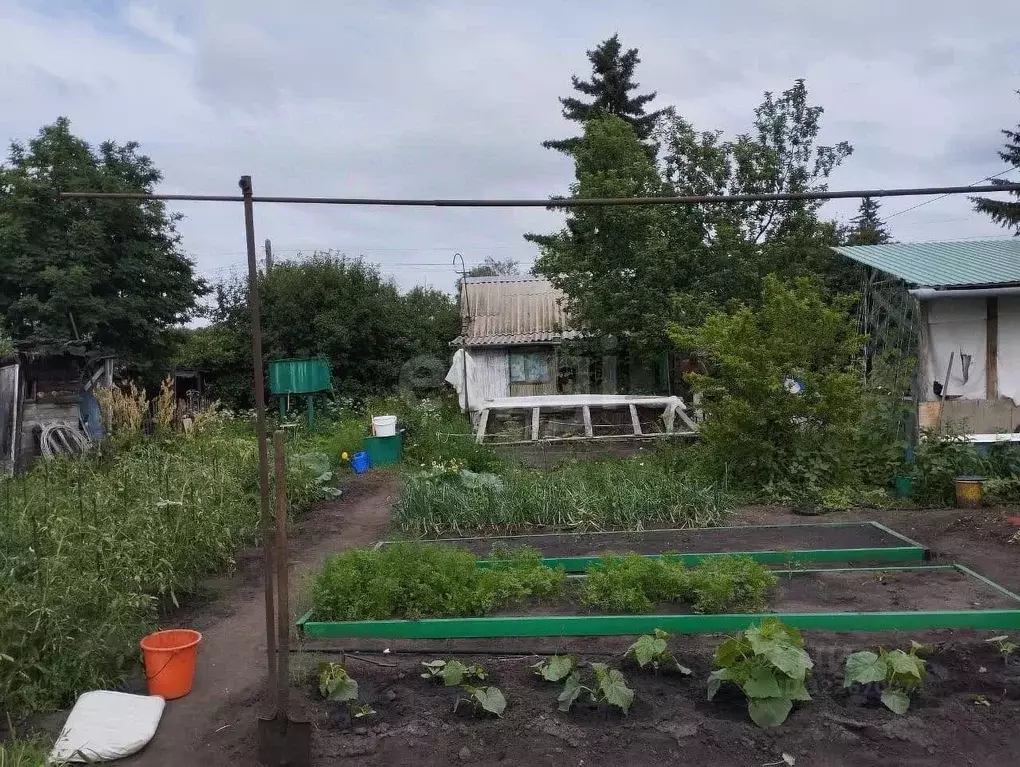 Дом в Омская область, Омск Отдых СНТ, аллея 12-я, 405 (25 м) - Фото 1