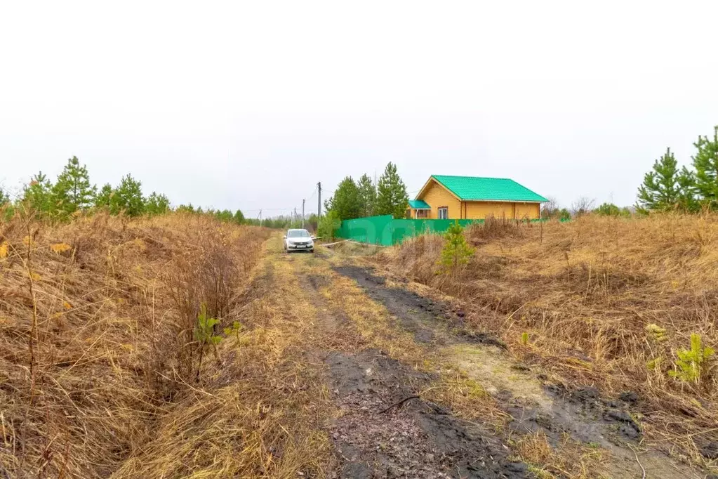 Участок в Тюменская область, Нижнетавдинский муниципальный округ, д. ... - Фото 1