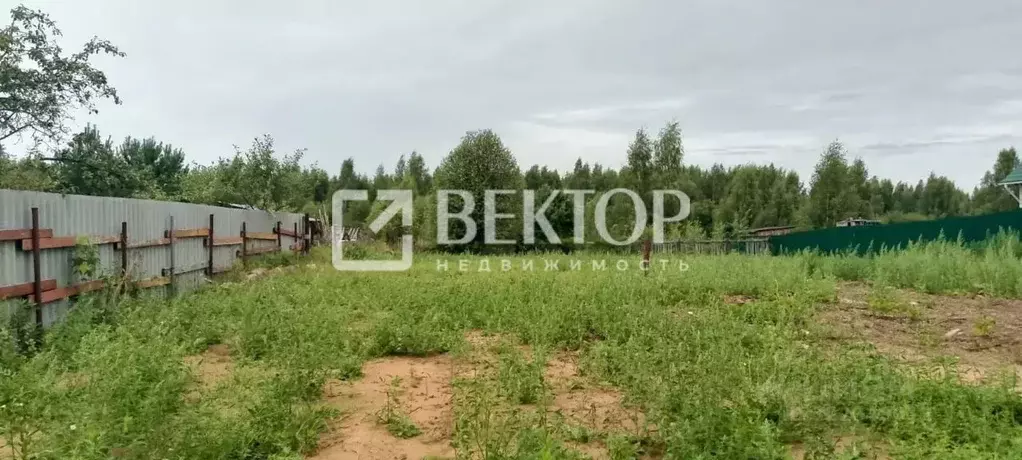 Участок в Костромская область, Костромской район, Бакшеевское с/пос, ... - Фото 2