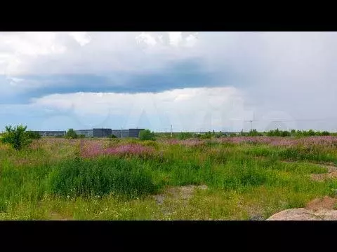 Участок 30 сот. (СНТ, ДНП) - Фото 1