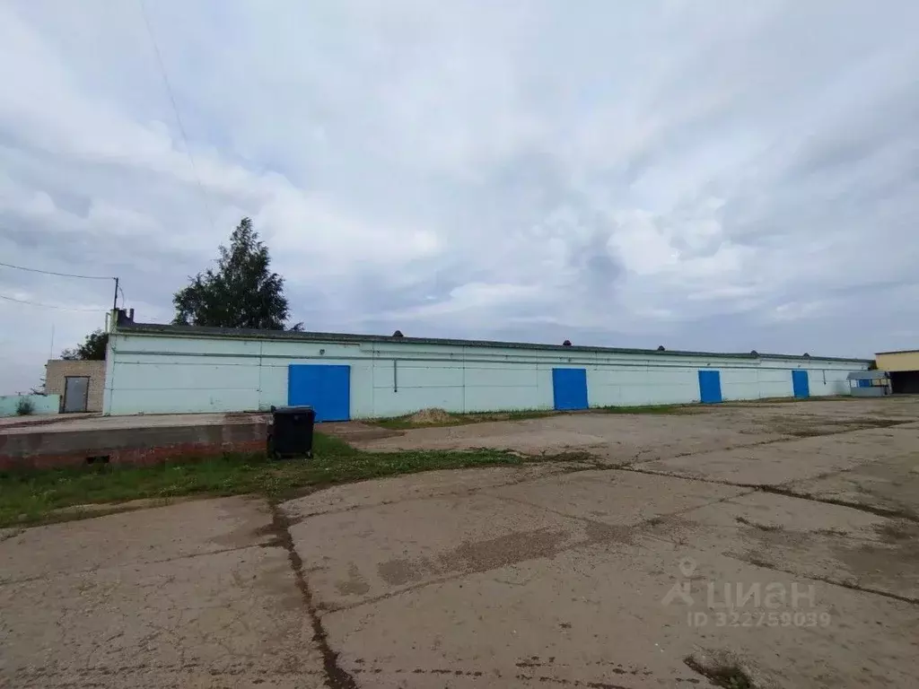 Производственное помещение в Татарстан, Елабуга Окружное ш., 5 (1600 ... - Фото 2