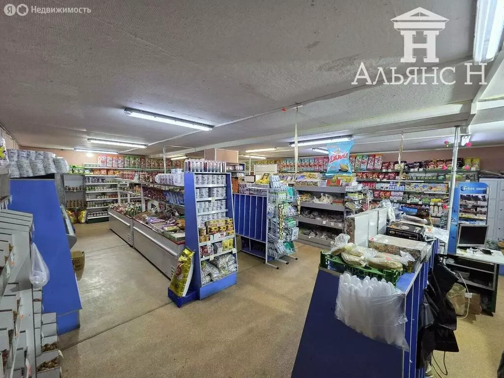 Помещение свободного назначения (230 м) - Фото 2