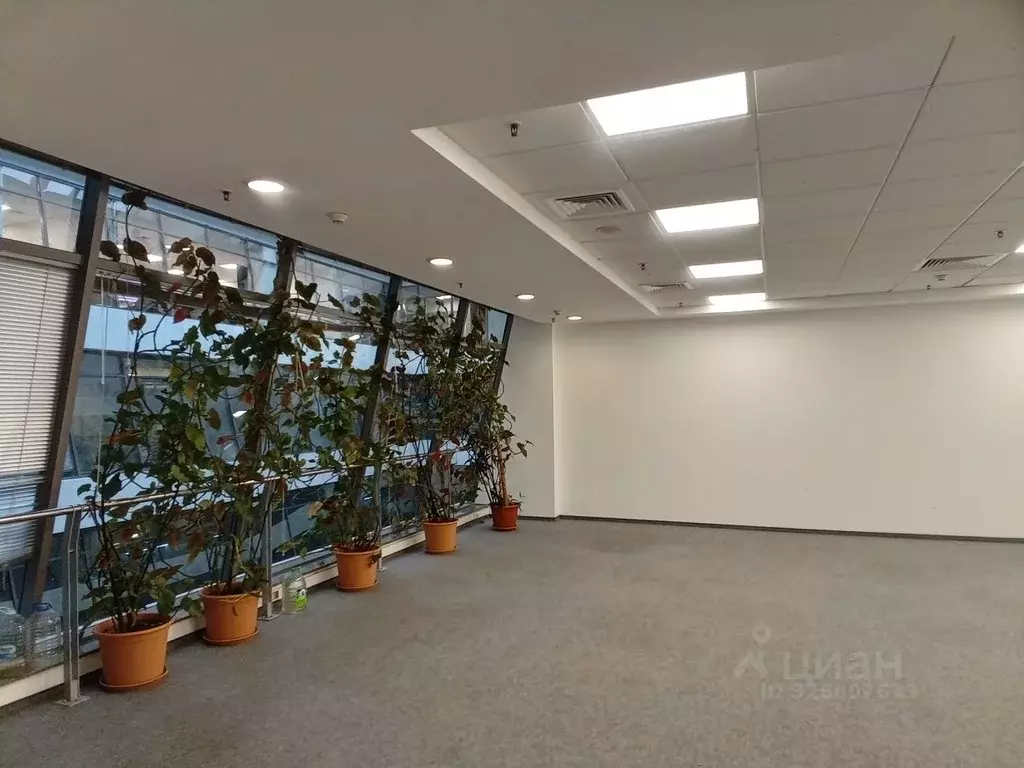 Помещение свободного назначения в Татарстан, Казань Петербургская ул., ... - Фото 2