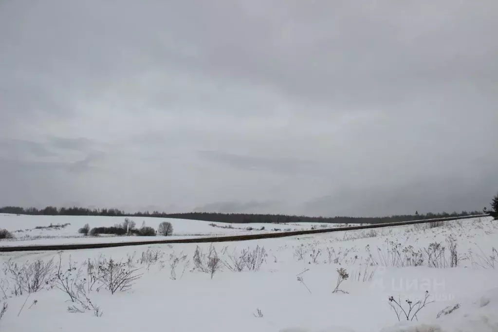 Участок в Московская область, Шаховская муниципальный округ, д. Якшино ... - Фото 1