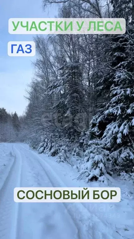 Участок в Костромская область, Красносельский район, Шолоховское ... - Фото 1