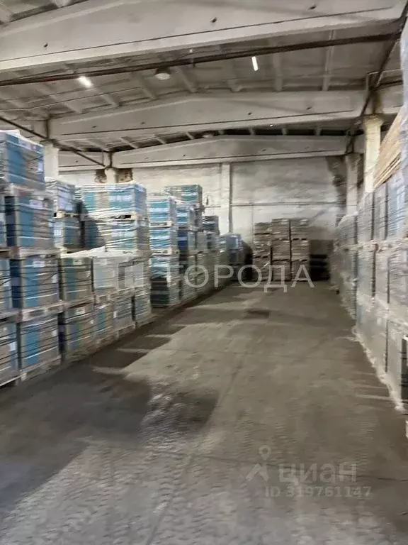 Склад в Новосибирская область, Новосибирск Архонский пер., 2Ак8 (1490 ... - Фото 1