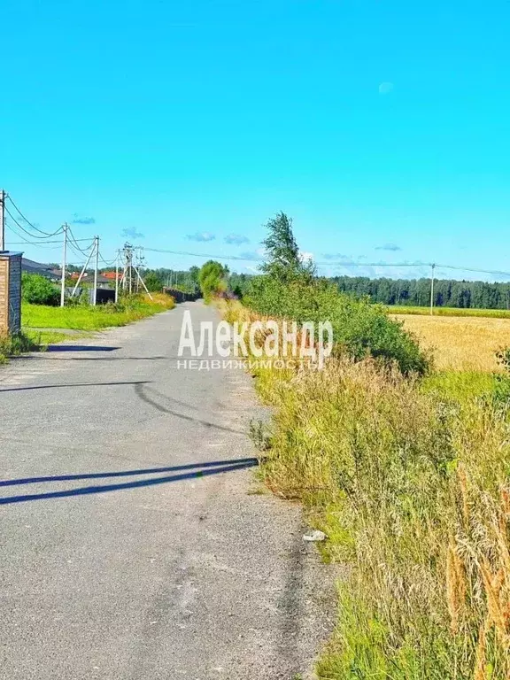 Участок в Ленинградская область, Тосненский район, Федоровское ... - Фото 0