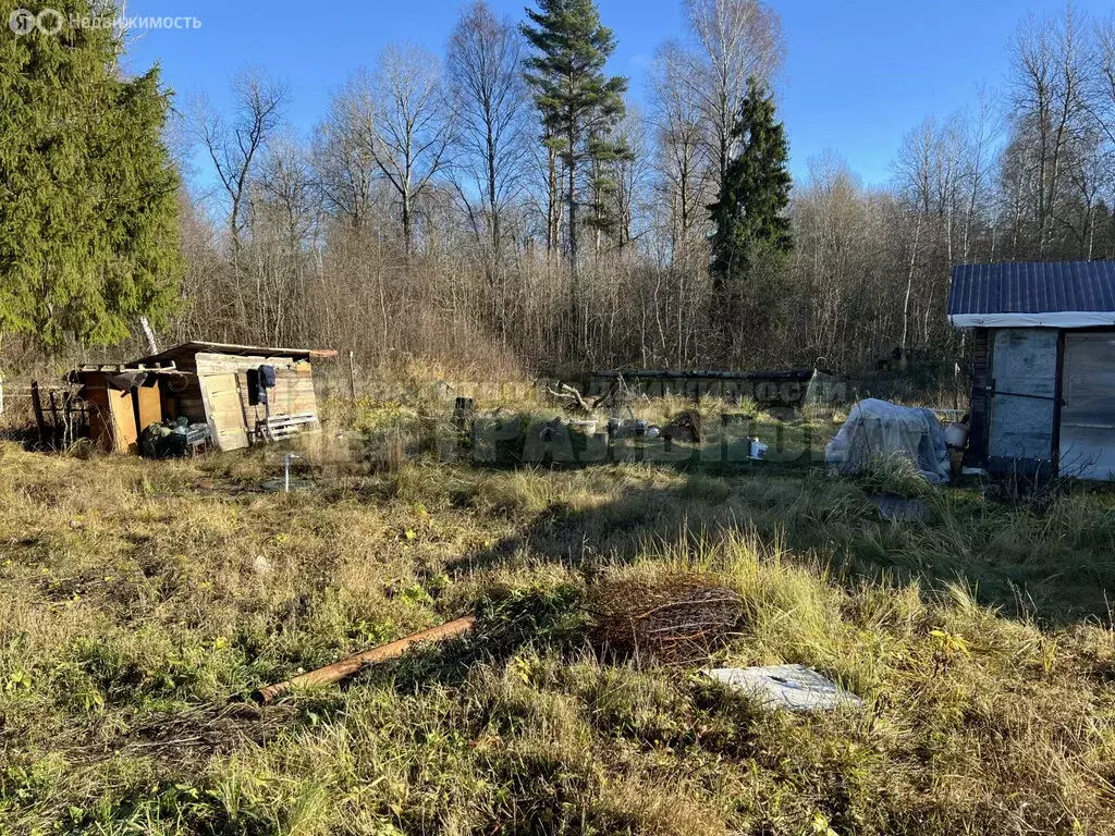 Участок в Смоленский муниципальный округ, территория СНТ Строитель ... - Фото 1