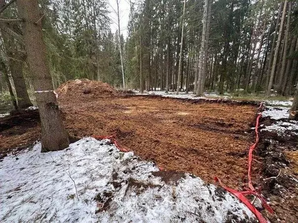 Участок в Санкт-Петербург, Санкт-Петербург, Зеленогорск ул. Танкистов, ... - Фото 1