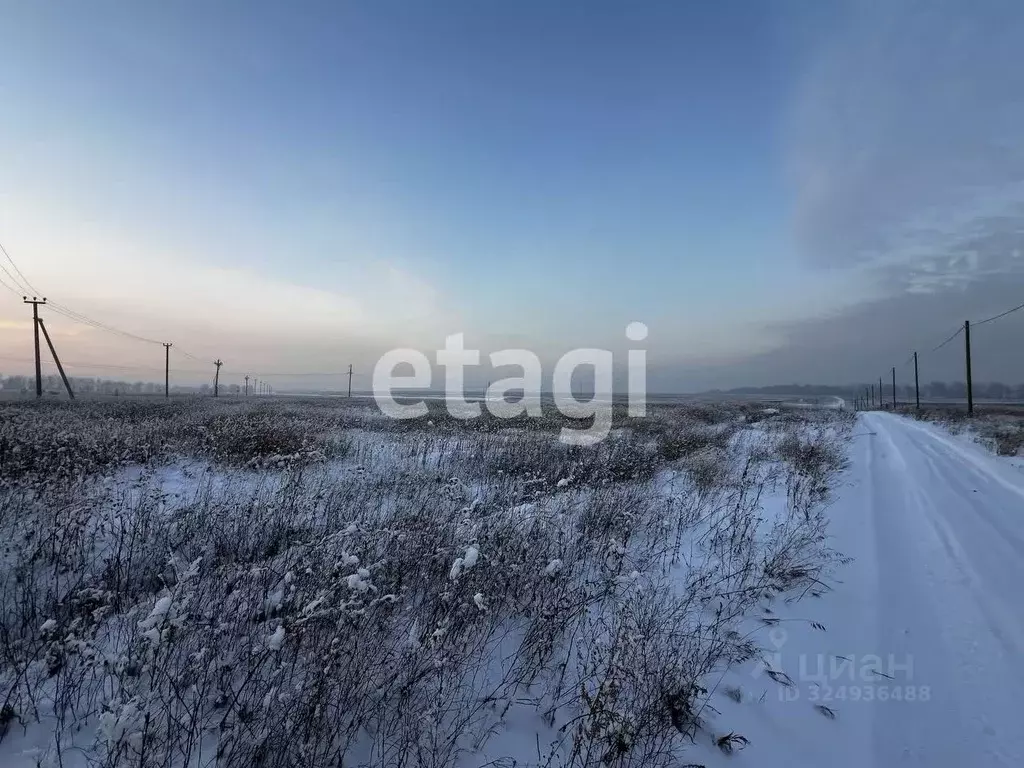 Участок в Красноярский край, Красноярск городской округ, с. Дрокино, ... - Фото 1