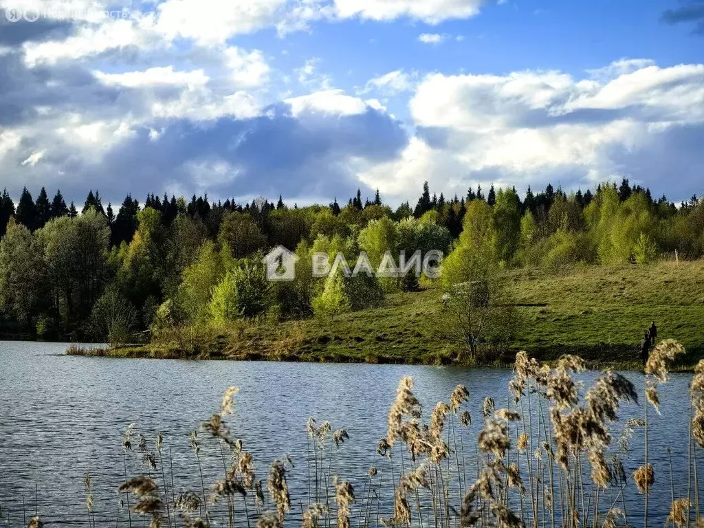 Участок в Смоленский муниципальный округ, деревня Лубня (20 м) - Фото 1