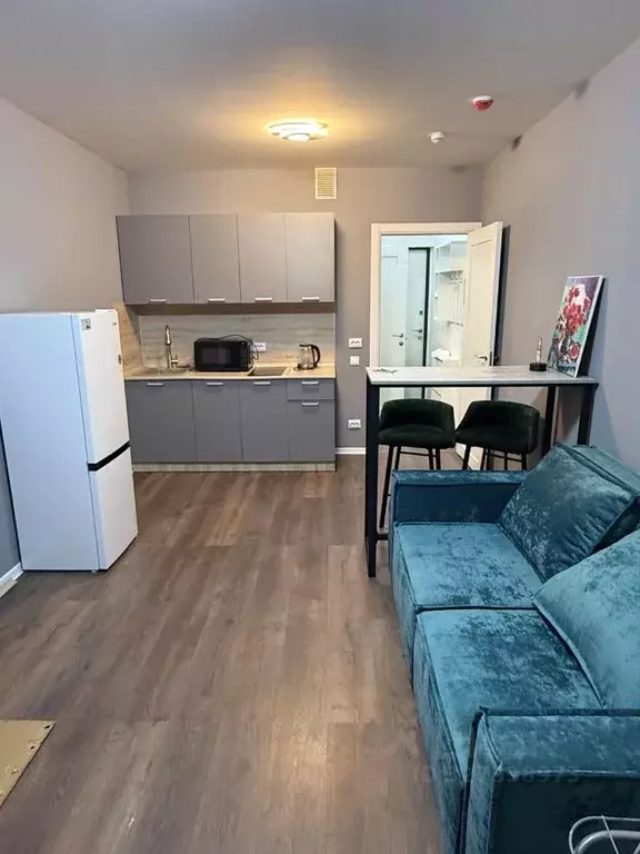 Студия Санкт-Петербург дор. Муринская, 29 (20.0 м) - Фото 1